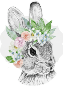 Transfer 54 A3 - Rabbit